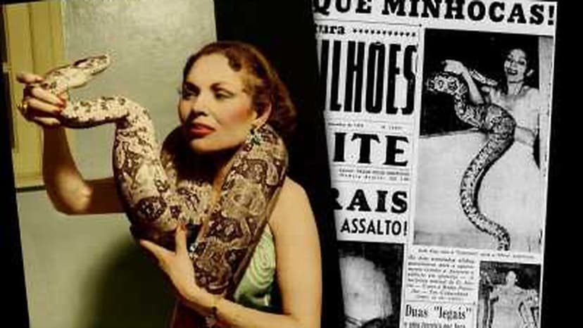 Movie Poster