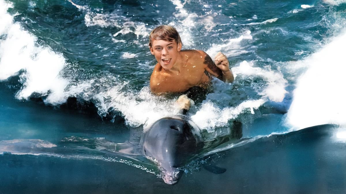 Flipper - O Menino e o Delfim
