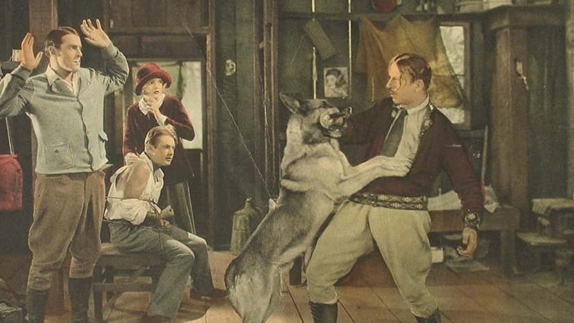 Movie Poster