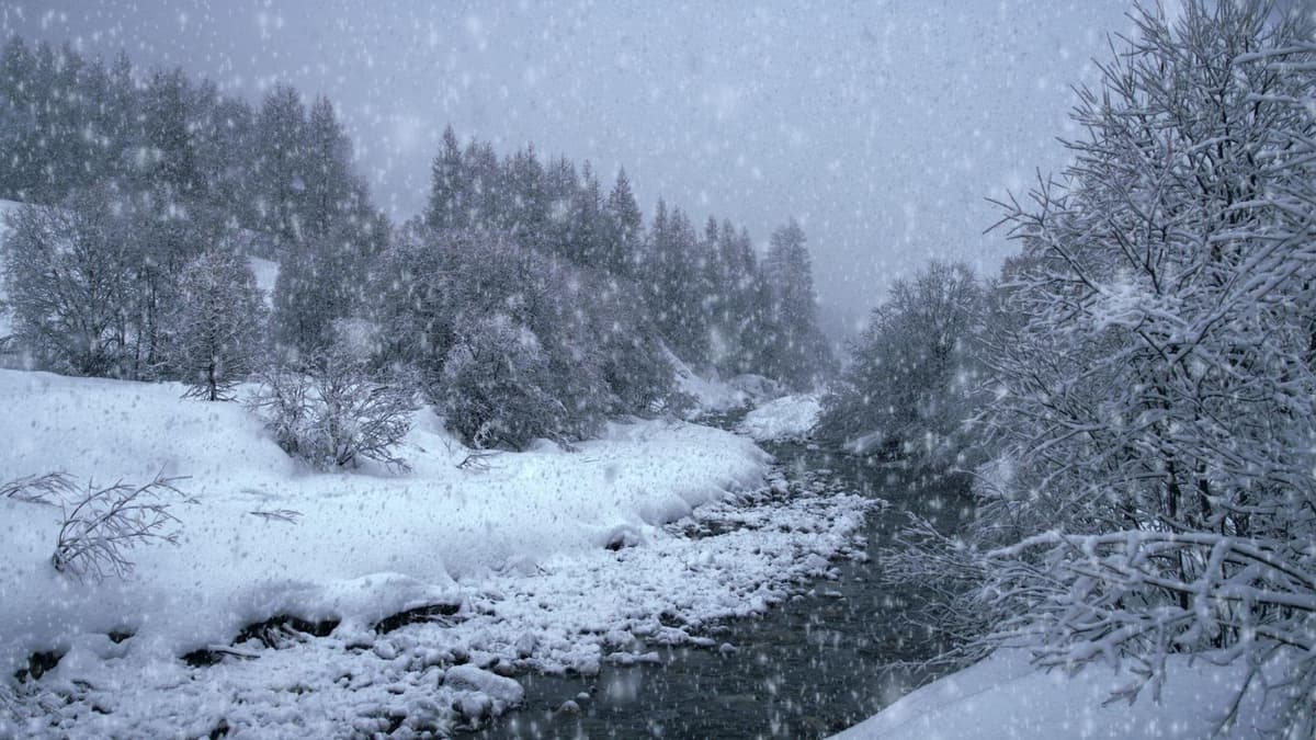 Neige
